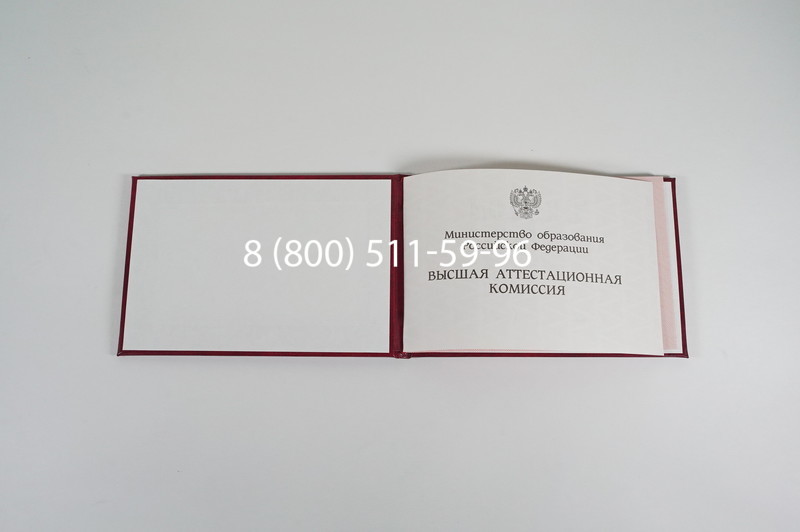 Диплом доктора наук 1995-2006 года в Балаково Диплом доктора наук 1995-2006 года в Балаково